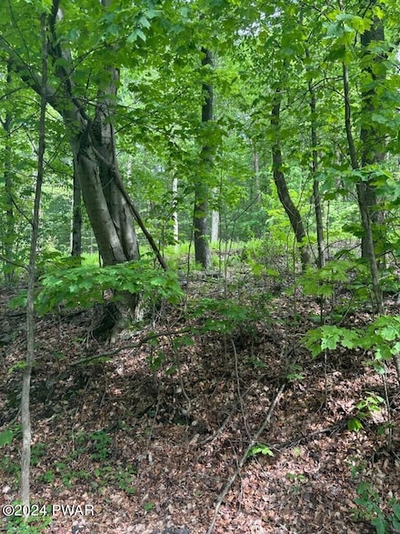 Lot #8 Millcreek Rd, Dreher Township, PA 18445