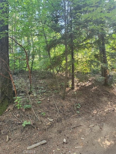 17141 Edgewood Way, Cobb, CA 95461