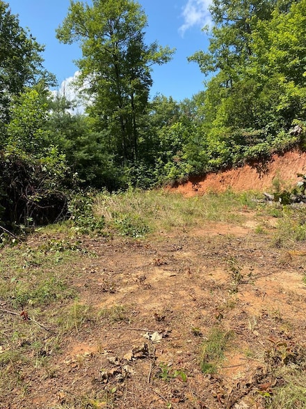 Lot 4 Red Dog Ln, Whittier, NC 28789