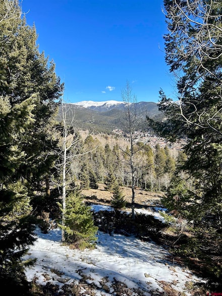 395 Soul's Ease Rd, Pitkin, CO 81241