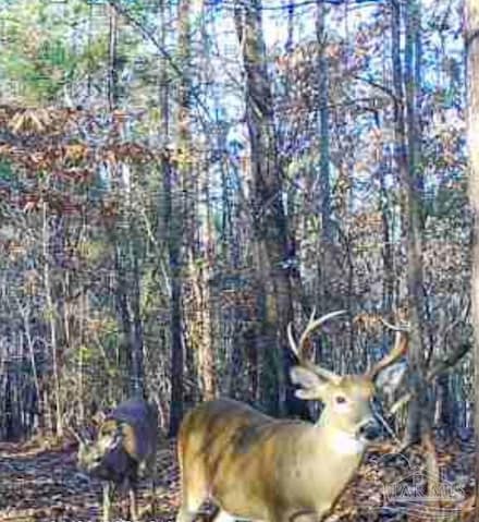 000 Apple Grove Rd, Vredenburgh, AL 36481