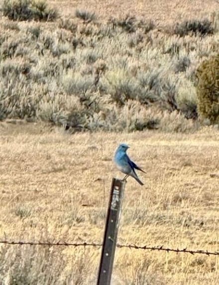 1705 State Road 096, Gallina, NM 87017