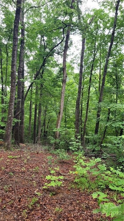 #25 Crooked Creek Estates Dr Unit 25, Old Fort, NC 28762