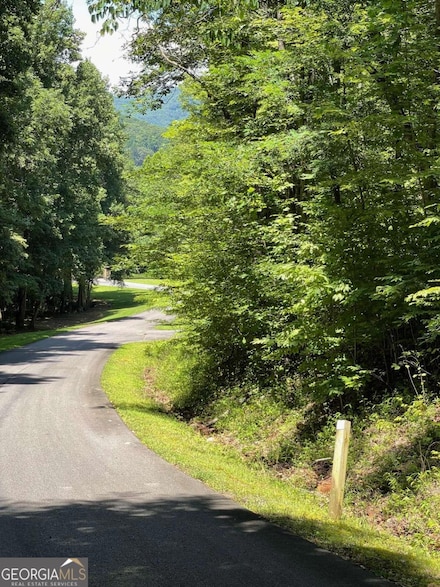 LOT 11 Fodder Creek Mill Dr, Hiawassee, GA 30546