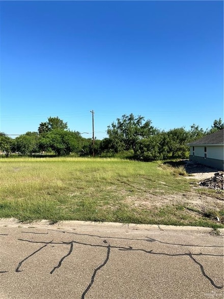 3422 Bamboo Palm Ct N, Harlingen, TX 78552