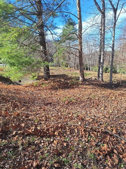 6200 Tallulah Rd, Robbinsville, NC 28771