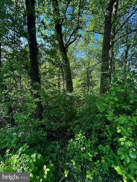81 Mile Trail, Carroll Valley, PA 17320