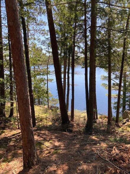 2 Two Lakes Dr, Northfield, ME 04654