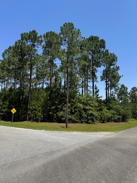 Lot 45 Fox Trot Dr, Moultrie, GA 31768