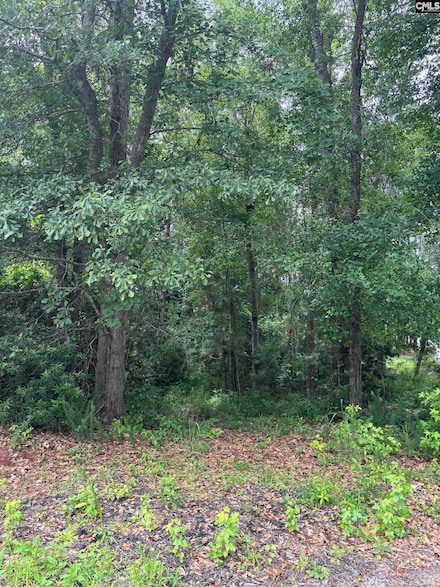 797 Harbor Vista Dr, Columbia, SC 29229
