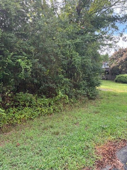 lot 50 Blueberry Dr Unit 50, Cape Charles, VA 23310