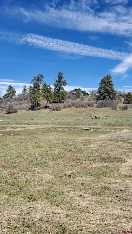1335 Hills Cir, Pagosa Springs, CO 81147