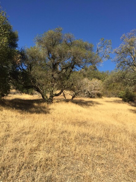 0 Ranch Camp Rd Unit 222137701, Somerset, CA 95684