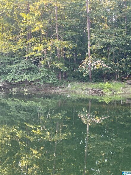 Lot 2 Pinedale Shores Unit 2, Jasper, AL 35501