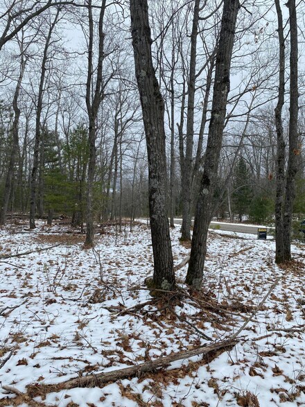 Lot 28 Robinhood Dr, Hubbard Lake, MI 49747
