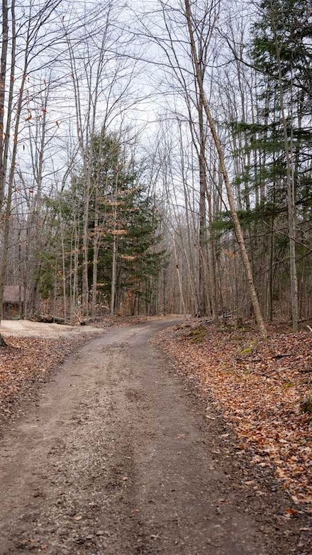 TBD Brookwood Hills Dr, Jordan Township, MI 49727