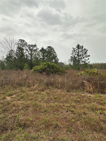 TBD SW 59th Ave, Marion Oaks, FL 34473