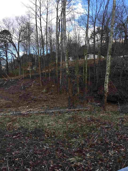 4132 13th St, Ashland, KY 41102