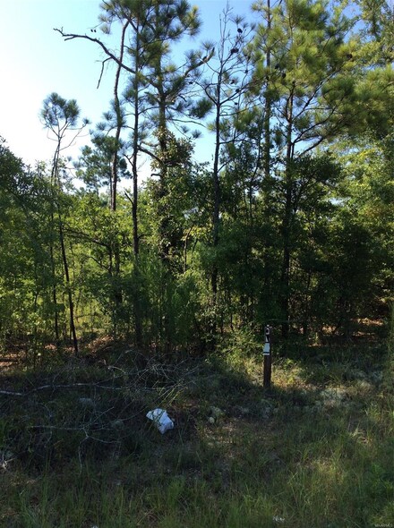 00 County Road 48, Tuskegee, AL 36083