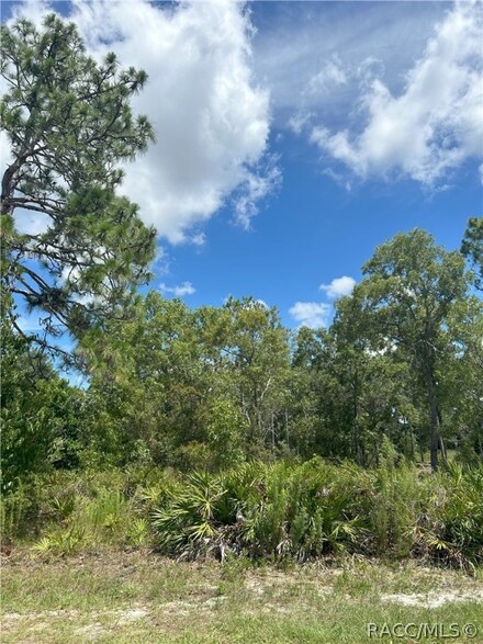 5 Pawpaw Ct N, Sugarmill Woods, FL 34446