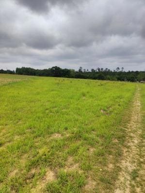 1410 Moye Rd, Norman Park, GA 31771