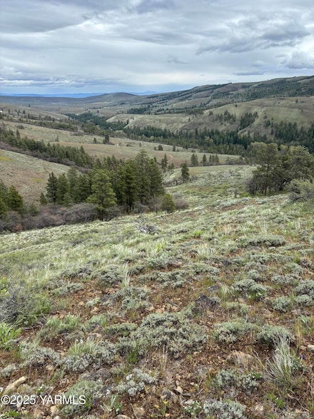 NKA Cowiche Creek Rd, Yakima, WA 98908