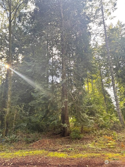 10529 105th Avenue Ct, Anderson Island, WA 98303