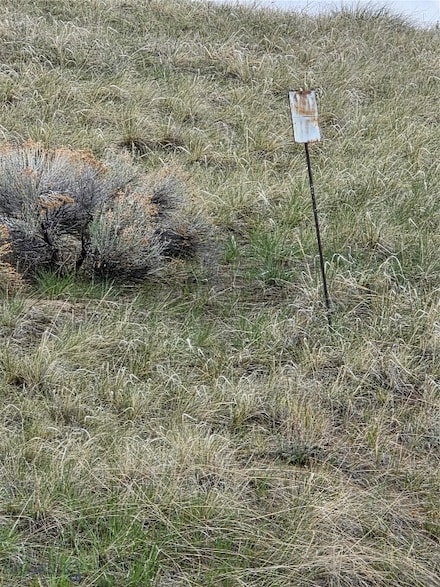 710 Gamblers Run, Dillon, MT 59725