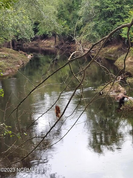 000 River, Willard, NC 28478