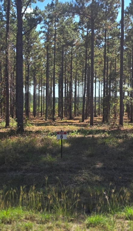 06 Army Recreation Rd, Florien, LA 71429