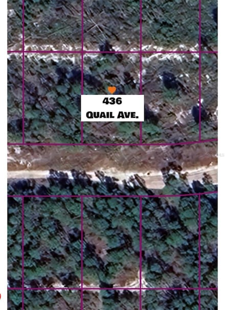 436 Quail Ave, Sebring, FL 33870