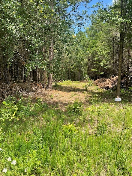 96 Deacon Rd, Calhoun Falls, SC 29628