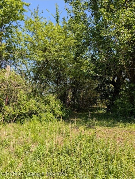 TBD 30 Acres S Charleston, Charleston, AR 72933