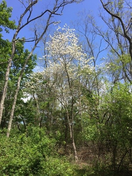 0 Harpoon Ln Unit 39367, West Tisbury, MA 02575