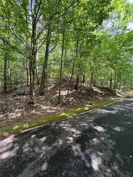 9070 Yearling Ln, Big Canoe, GA 30143