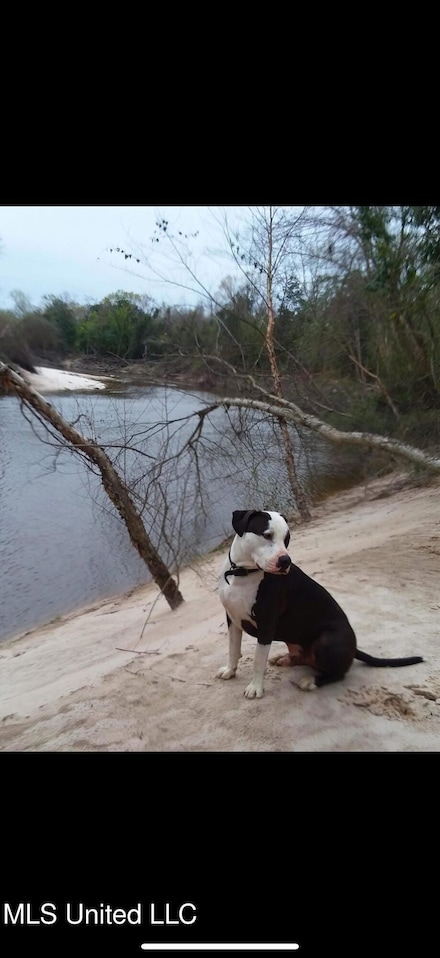 0 Nhn McDonald Rd, Pass Christian, MS 39571