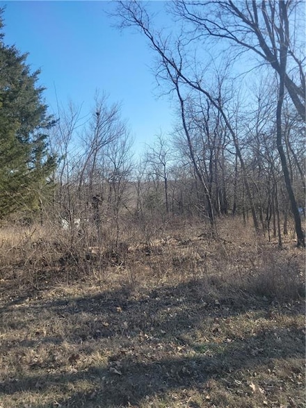 98 Maple Dr, Linn Valley, KS 66040