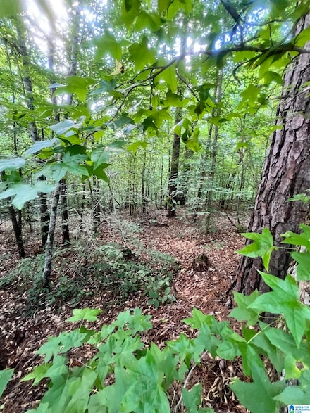 0 Andrew Jackson Rd Unit 19 21424955, Alexander City, AL 35010