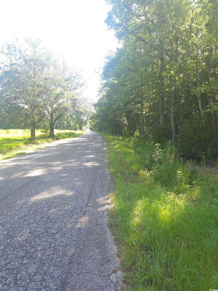 TBD County Road S-22-45, Hemingway, SC 29554