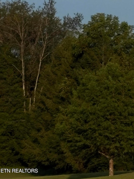 0 Camelot Unit 1310911, Rogersville, TN 37857