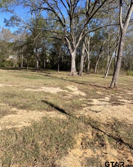 807 E Duval St, Troup, TX 75789
