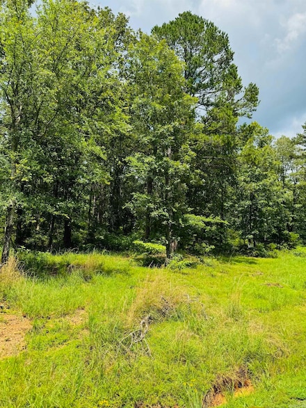 Lot 46 Primrose Creek, Heber Springs, AR 72543