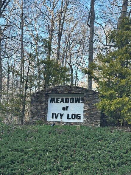 0 Ivy Meadow Ln Unit 414421, Blairsville, GA 30512
