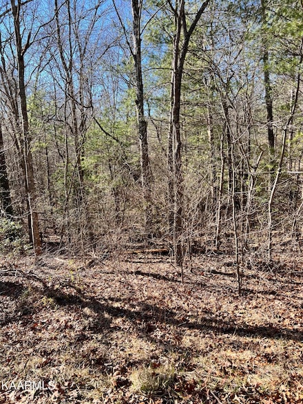 118 Natchez Cir, Crossville, TN 38558
