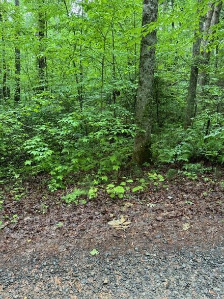 LOT 19 Almond Cir, Ellijay, GA 30540
