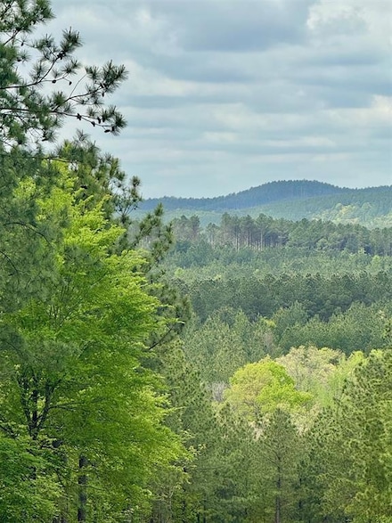 388 N Lukfata Trail Rd, Broken Bow, OK 74728