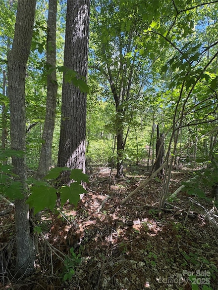 0 Creekwood Dr, Morganton, NC 28655