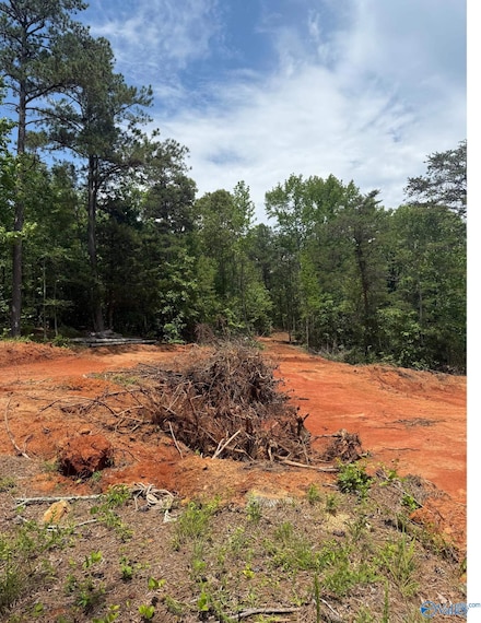 7451 Scenic Hwy, Gadsden, AL 35904