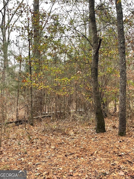 0 Barker Rd SW Unit 10651788, Rome, GA 30165