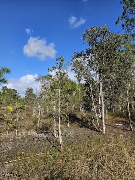 0 Godden Grove Rd Unit 1, Fort Myers, FL 33913